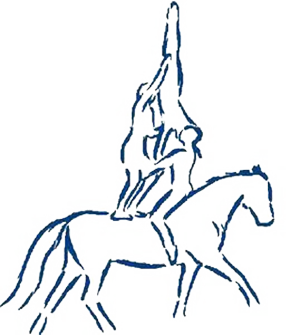 Voltige Vereniging Lichtenvoorde
